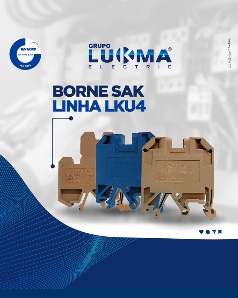 Borne Sak